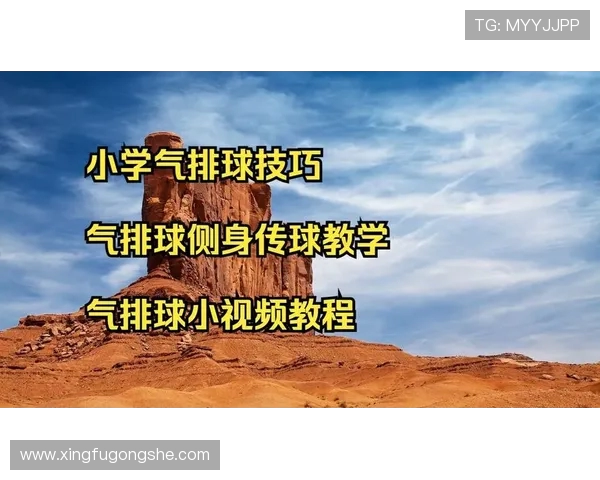 从零起步掌握排球技巧与战术全解析助你成为排球高手