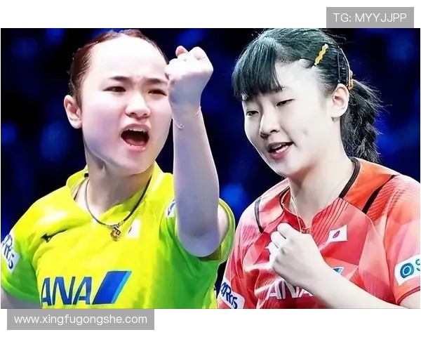 北京乒乓球队力量对比深度剖析与未来发展趋势探讨